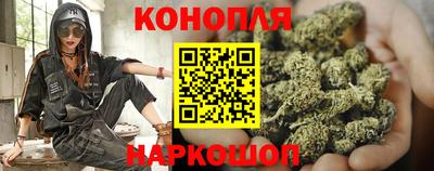 мдпв Тула
