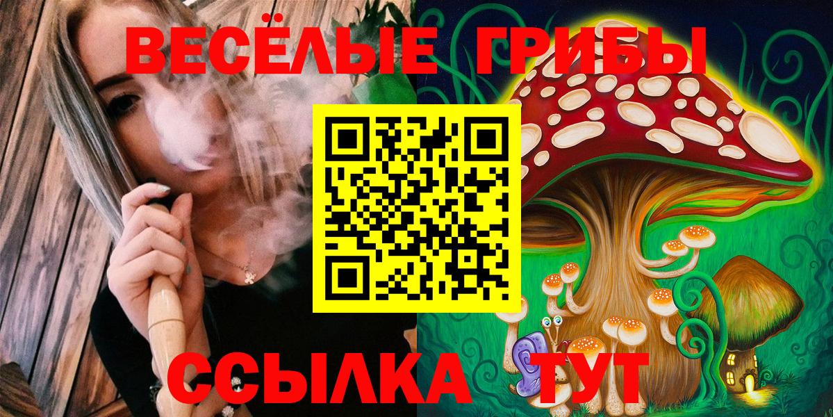 Псилоцибиновые грибы Psilocybe Новошахтинск