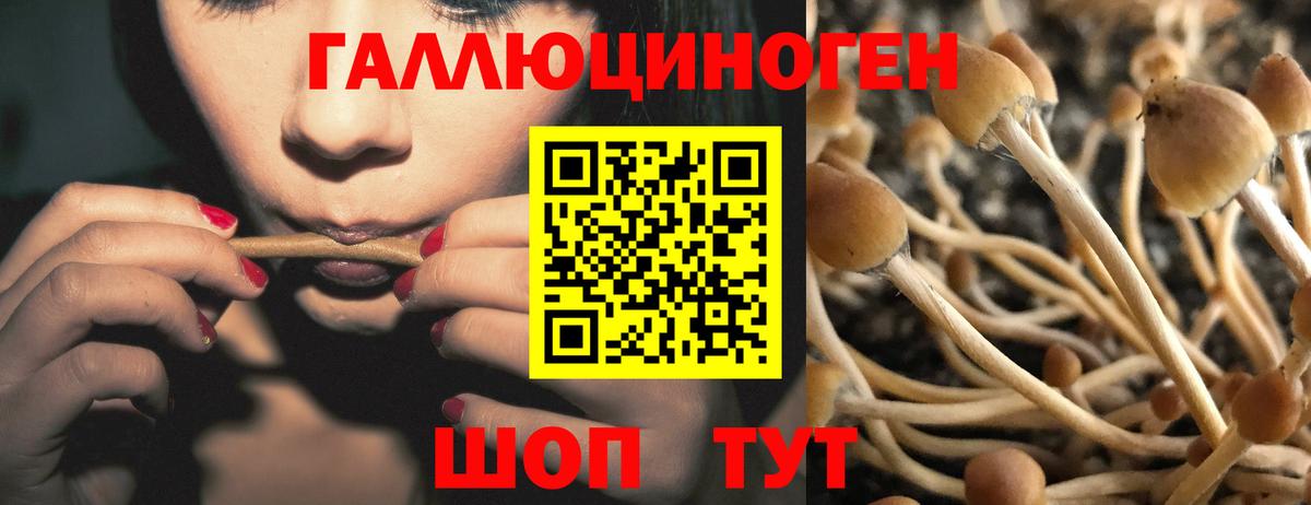 Псилоцибиновые грибы ЛСД  Вход с VPN  Новошахтинск 
